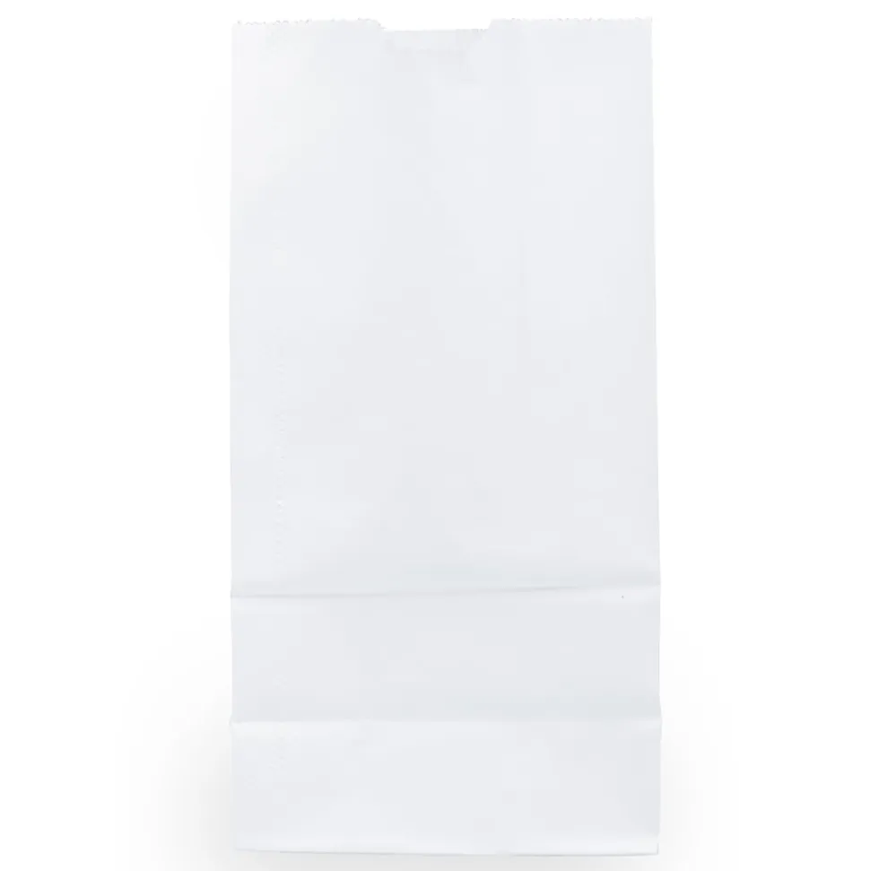 JAM Paper® Medium Kraft Lunch Bags, 9 3/4 x 5 x 3, White, Pack Of 25 Bags