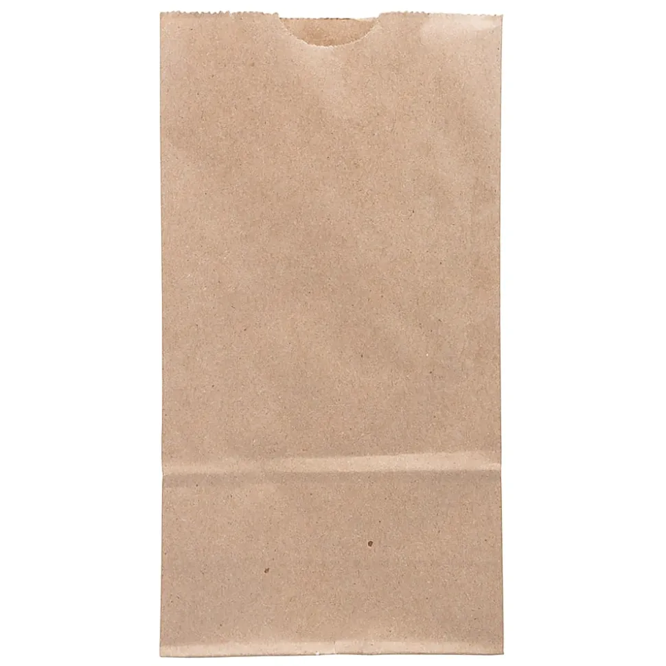 JAM Paper® Small Kraft Lunch Bags, 4-1/4" x 8" x 2-1/4", Brown, Pack Of 25 Bags
