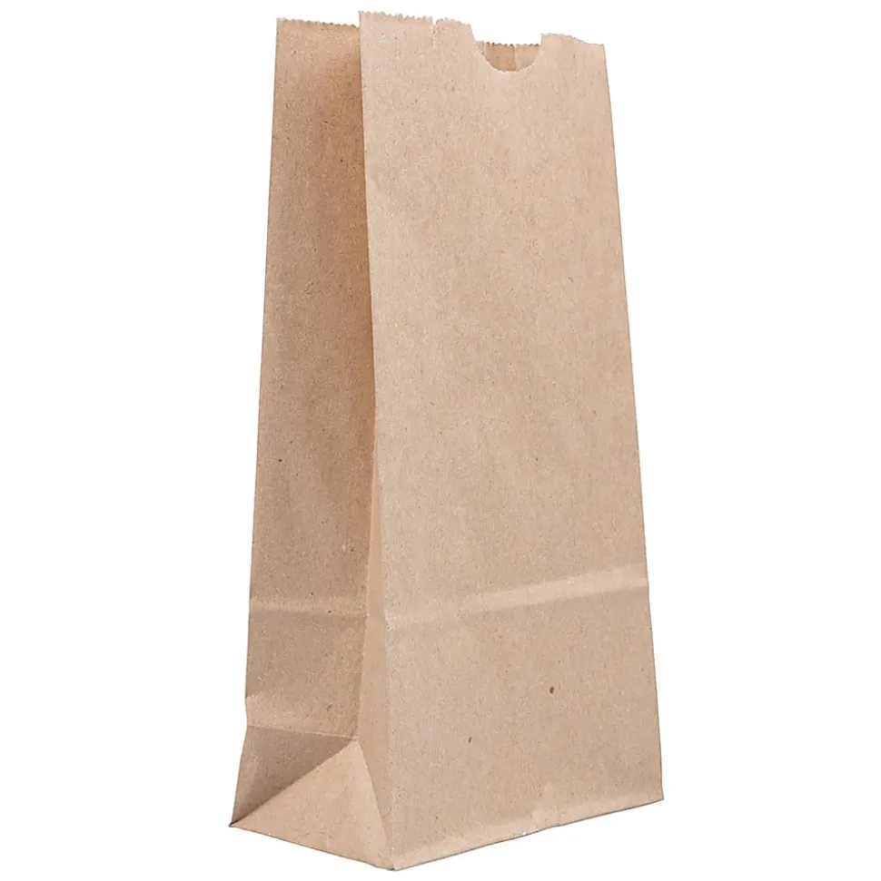 JAM Paper® Small Kraft Lunch Bags, 4-1/4" x 8" x 2-1/4", Brown, Pack Of 25 Bags