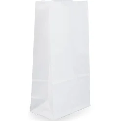 JAM PaperĀ® Small Kraft Lunch Bags, 4-1/8" x 8" x 2-1/4", White, Pack Of 25 Bags
