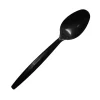 Karat Plastic Disposable Teaspoons, Black, Case Of 1,000 Spoons