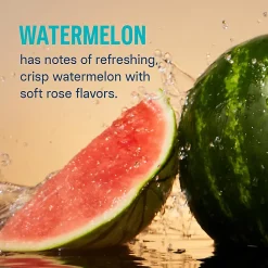 Liquid IV Hydration Multiplier Sticks, Watermelon, 4.52 Fl Oz, Pack Of 10 Sticks