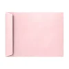LUX Open-End Envelopes, 6" x 9", Peel & Press Closure, Candy Pink, Pack Of 1,000