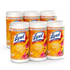 Lysol Brand New Day Disinfecting Wipes - Mango and Hibiscus Scent - 80 / Canister - 6 / Carton - White