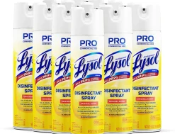 Lysol® Professional Disinfectant Spray, Original Scent, 19 Oz Bottle