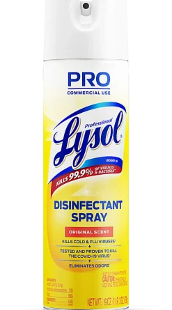 Lysol® Professional Disinfectant Spray, Original Scent, 19 Oz Bottle