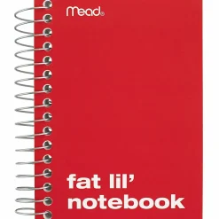Mead® Fat Lil' Wirebound Notebook, 4