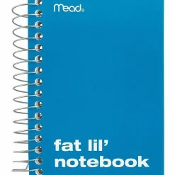 Mead® Fat Lil' Wirebound Notebook, 4