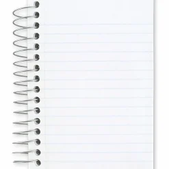 Mead® Fat Lil' Wirebound Notebook, 4