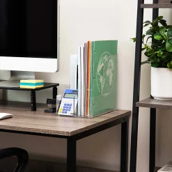 Mind Reader Acrylic Vertical File Storage Magazine Holder, 9-3/4