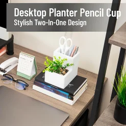 Mind Reader Ceramic Desktop Planter Pencil Cup, 4-3/4"H x 5"W x 3-3/4"D, White, Total Quantity 1