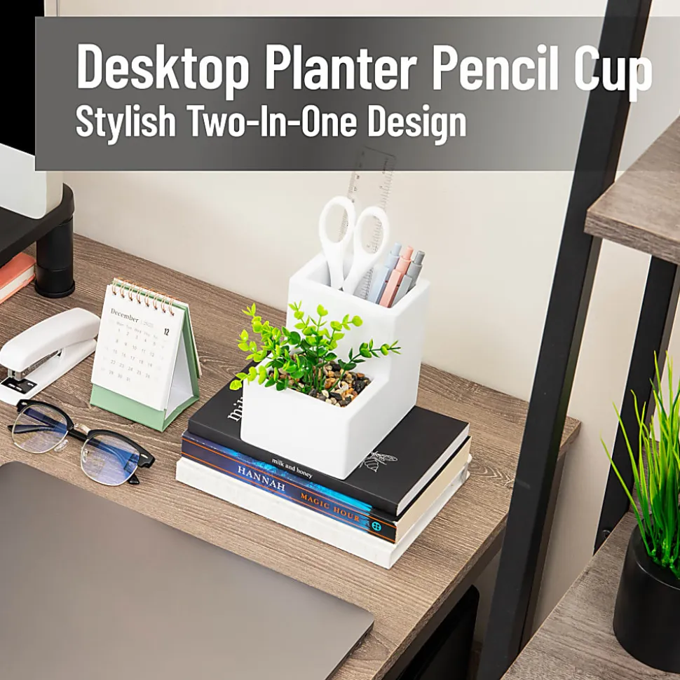 Mind Reader Ceramic Desktop Planter Pencil Cup, 4-3/4"H x 5"W x 3-3/4"D, White, Total Quantity 1
