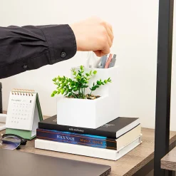 Mind Reader Ceramic Desktop Planter Pencil Cup, 4-3/4