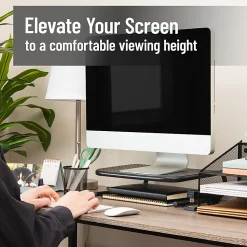 Mind Reader Metal Monitor Stand Ventilated Laptop Riser Desktop Organizer, 4-1/4