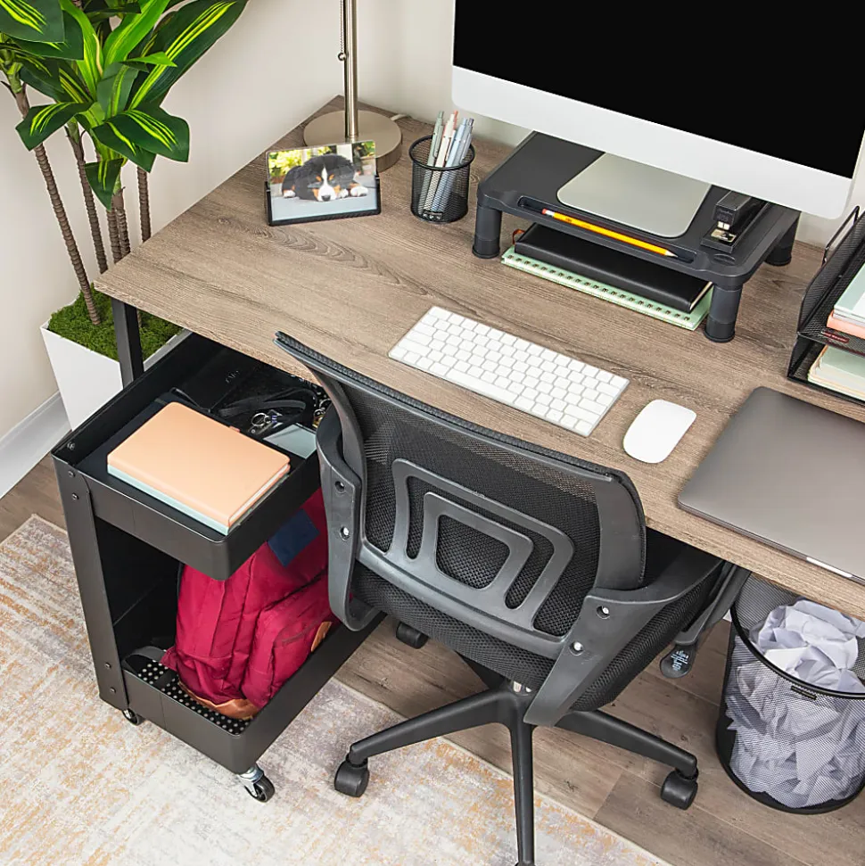 Mind Reader 2-Tier Under Desk Rolling Cart, 23-1/2"H x 20"W x 12"D, Black