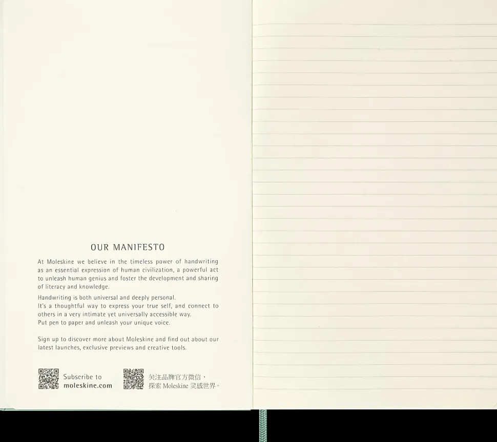 Moleskine Colored Patterned Hard Cover Notebook, 5" x 8-1/4", Ruled/Lined, Sage Green, Total Qty 1