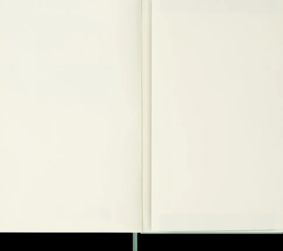 Moleskine Colored Patterned Hard Cover Notebook, 5" x 8-1/4", Ruled/Lined, Sage Green, Total Qty 1