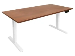 Mount-It! Dual-Motor Electric Standing Desk With Adjustable Height And 55