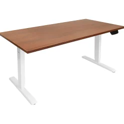 Mount-It! Dual-Motor Electric Standing Desk With Adjustable Height And 55