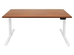 Mount-It! Dual-Motor Electric Standing Desk With Adjustable Height And 55
