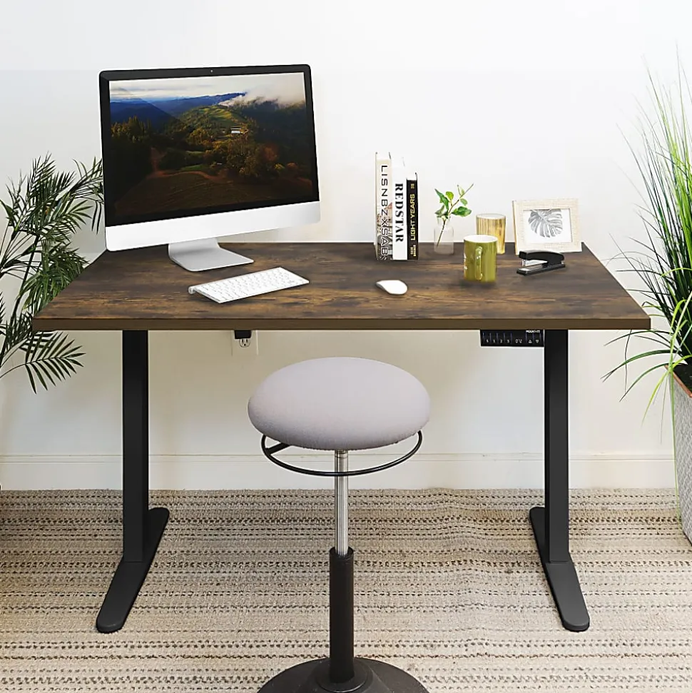 Mount-It! Dual Motor Electric 55"W Adjustable Height Standing Desk, Oak/Black