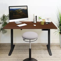 Mount-It! Electric Standing Desk With Adjustable Height And 55