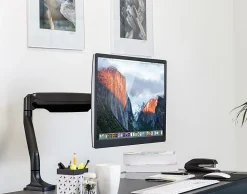 Mount-It! MI-1771B Single Monitor Desk Arm Mount, 19