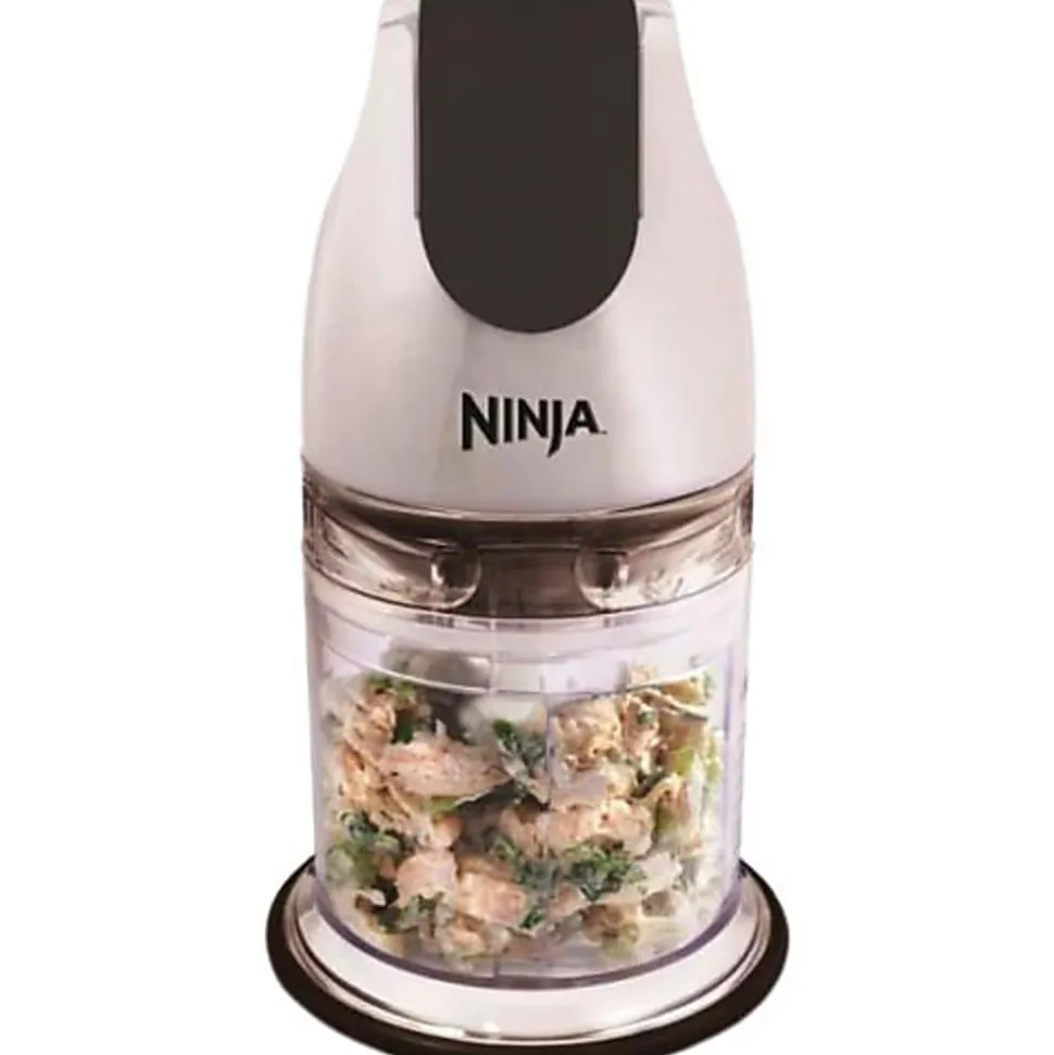 Ninja Master Prep Blender/Food Processor, Gray/Silver