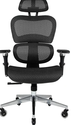 Nouhaus Ergo3D Ergonomic Fabric High-Back Office Chair, Black Coffee