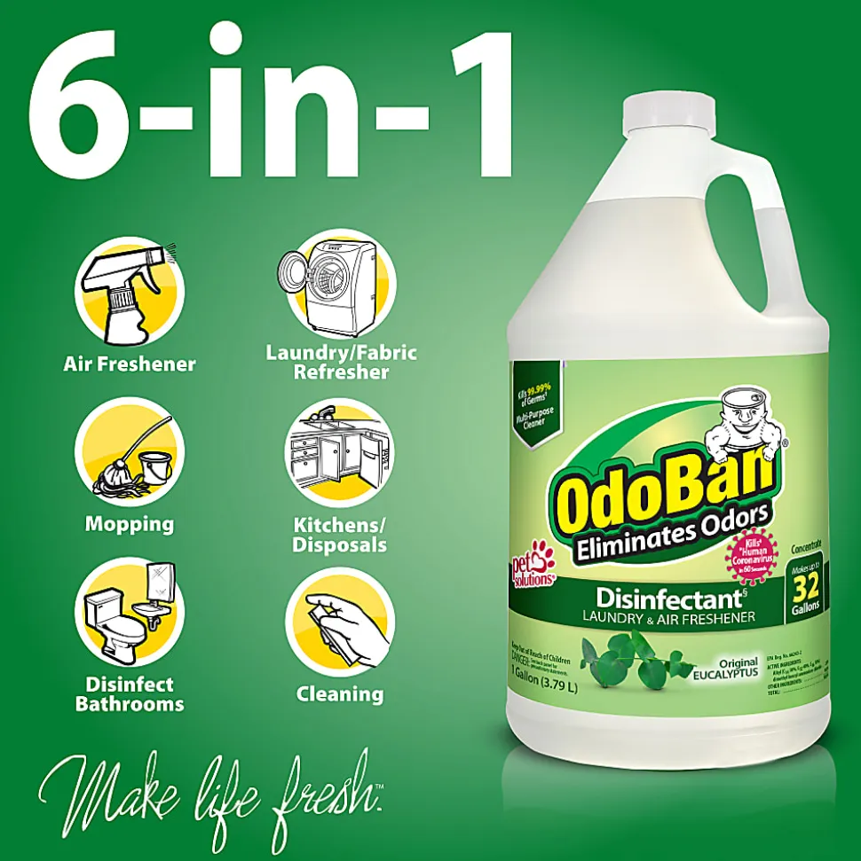 OdoBan® Odor Eliminator Disinfectant Concentrate, Original Eucalyptus Scent, 128 Oz Bottle, Case Of 4