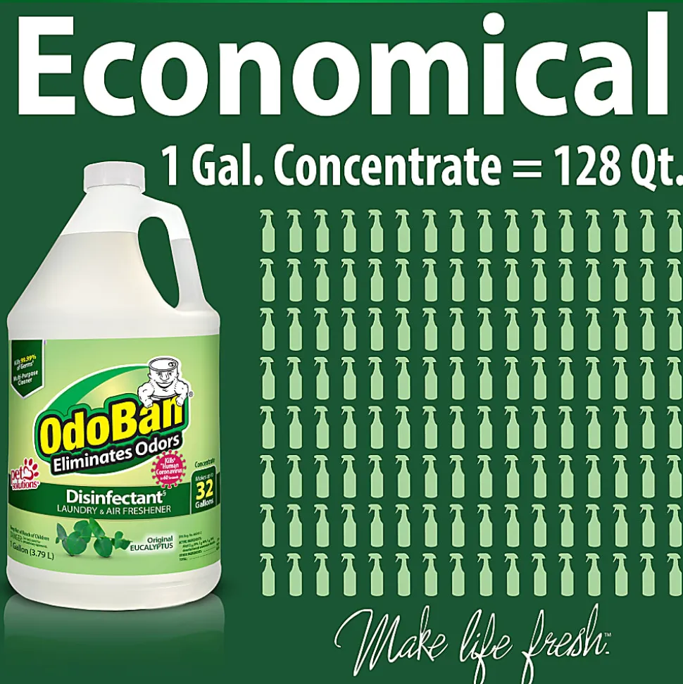 OdoBan® Odor Eliminator Disinfectant Concentrate, Original Eucalyptus Scent, 128 Oz Bottle, Case Of 4