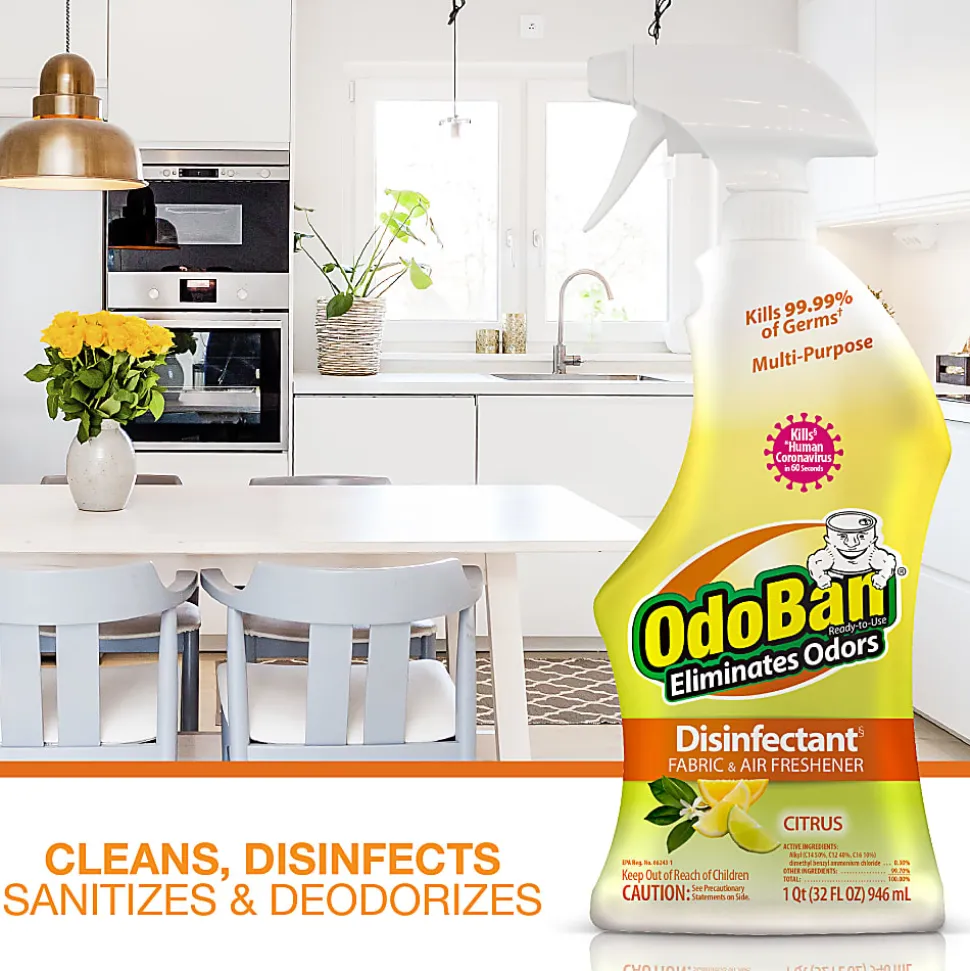 OdoBan Odor Eliminator Disinfectant Spray, Citrus Scent, 32 Oz Bottle