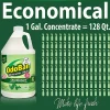 OdoBan Odor Eliminator Disinfectant, 1 Gallon Concentrate and 32 Oz Spray Bottle, Original Eucalyptus Scent