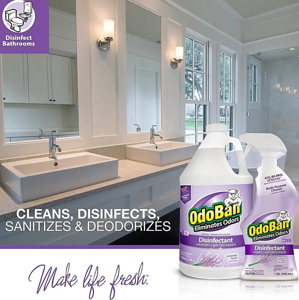 OdoBan® Odor Eliminator Disinfectant Concentrate, Lavender Scent, 128 Oz Bottle, Case Of 4