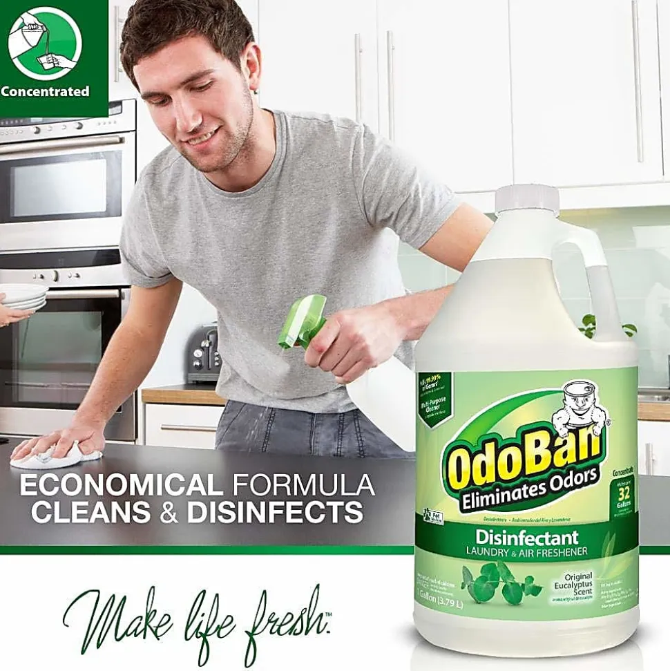OdoBan® Odor Eliminator Disinfectant Spray, Original Eucalyptus Scent, 32 Oz Bottle, Case Of 6