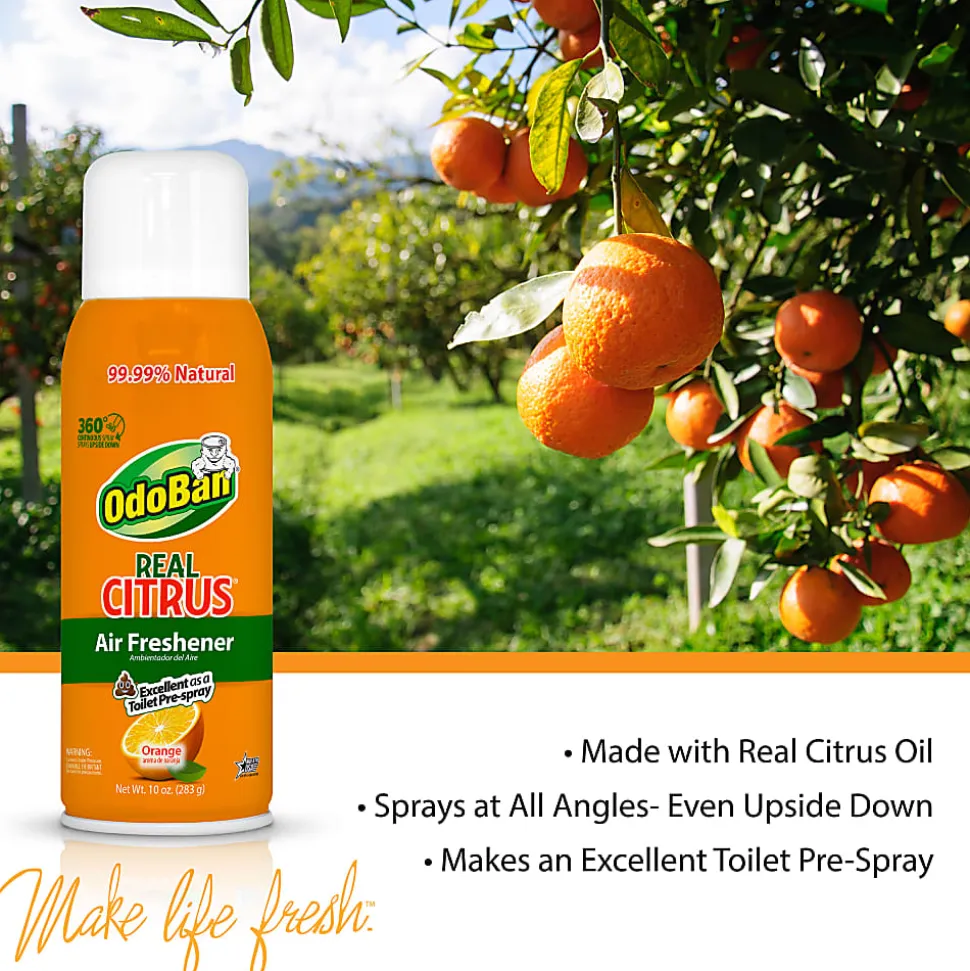 OdoBan Real Citrus Air Freshener 360° Spray, Orange, 10 Oz, Pack Of 6 Bottles