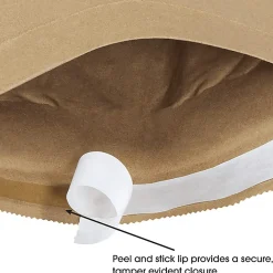 Office DepotĀ® Brand Kraft Self-Seal Padded Mailers, #0, 6" x 10", Pack Of 250