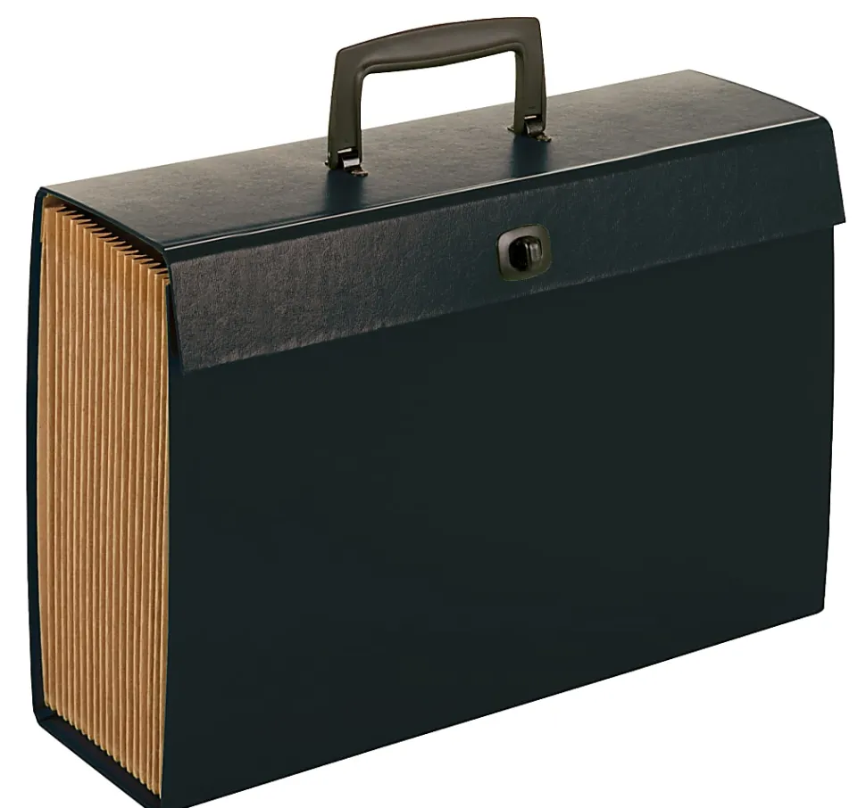 Office Depot® Brand 19-Pocket Expanding Legal Case File, Black