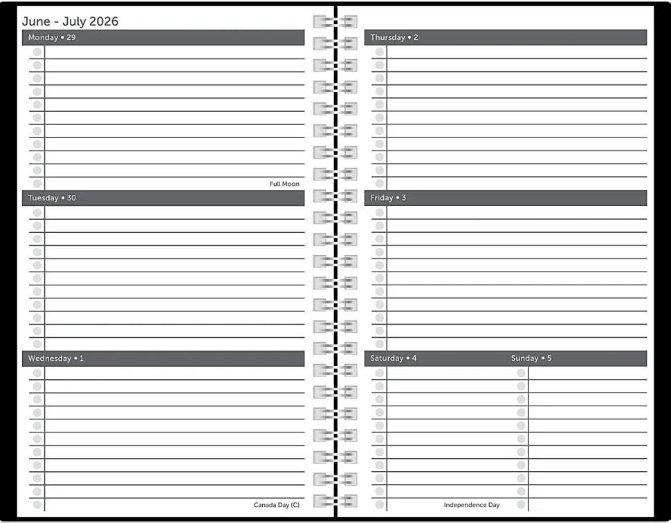 2026-2027 Office Depot® Brand Stellar Academic Weekly/Monthly Planner, 5-1/2" x 8-1/2", Pink, July To June