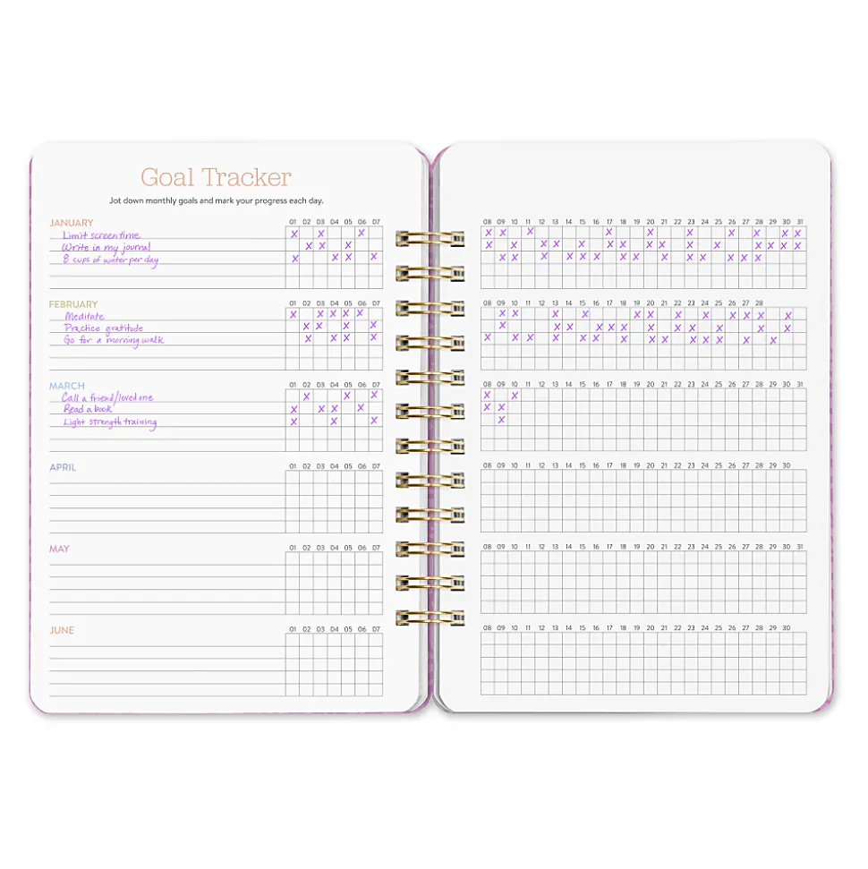 2026 Orange Circle Studio Weekly/Monthly Do It All Planner, 8-1/4" x 5-3/4", Catching Colors, January To December, 26341