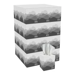 Pacific Blue Basic® 2-Ply Facial Tissues, Cube Box, White, 100% Recycled Fiber, 86 Tissues Per Box, 36 Boxes Per Case