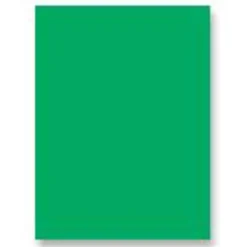 Pacon® Decorol® Flame-Retardant Paper Roll, 36" x 1000', Festive Green