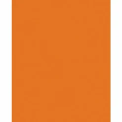 Pacon® Kaleidoscope Color Multi-Use Printer & Copy Paper, Pumpkin Orange, Letter (8.5