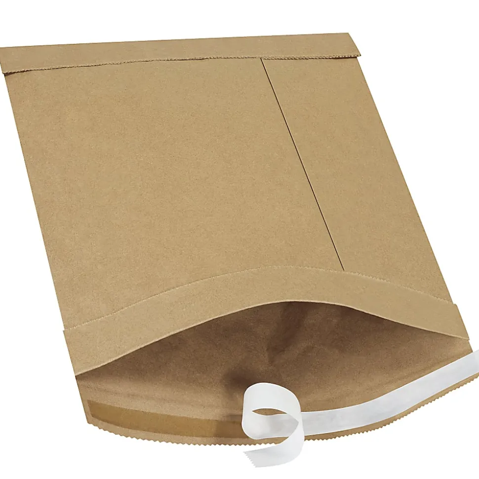 Partners Brand Kraft Self-Seal Padded Mailers, #2, 8 1/2" x 12", Pack Of 100