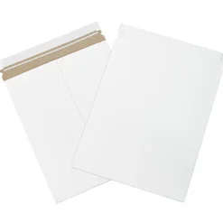 Partners Brand Self-Seal Stayflats® Plus Express Pouch Mailers, 11