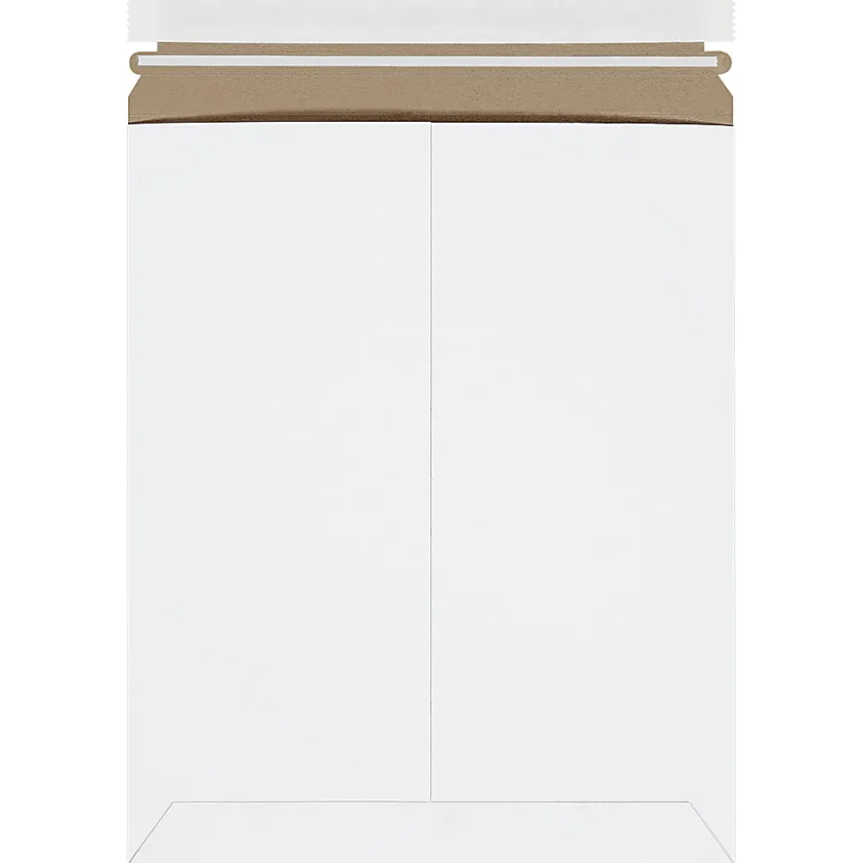 Partners Brand Self-Seal Stayflats® Plus Express Pouch Mailers, 9 3/4" x 12 1/4", White, Pack of 100