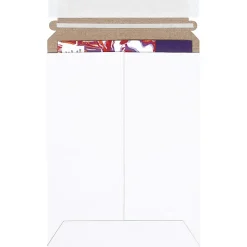 Partners Brand Self-Seal Stayflats® Plus Express Pouch Mailers, 6
