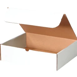 Partners Brand White Literature Mailers, 12