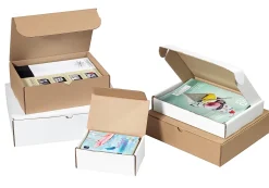 Partners Brand White Literature Mailers, 11" x 6 1/2" x 2 3/4", Pack Of 50