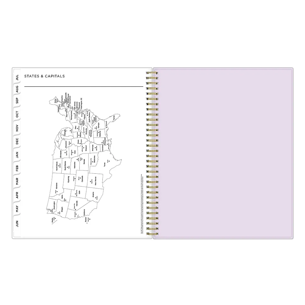 Planning Calendar AG Squiggle Stripe Neutral PP 8.5x11 AY26–27